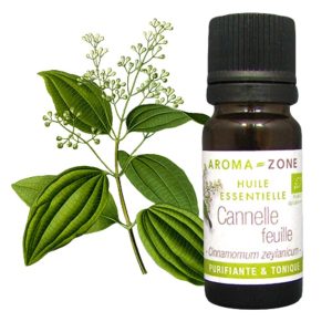Huile essentielle de Cannelle de Ceylan BIO AROMA-ZONE Pour Puissance, Chaleur & Protection naturelle